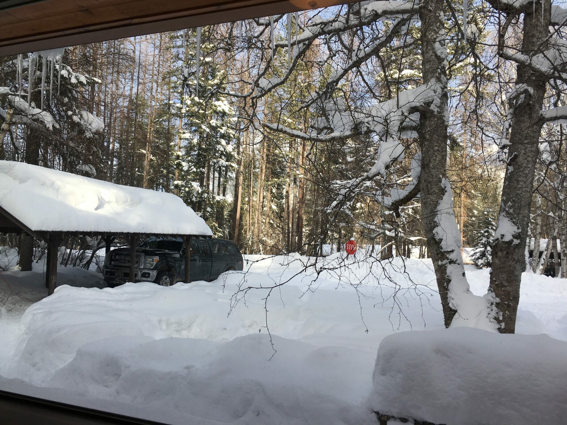 Seasons Through a Cabin Window 2 IMG 1042 e1527722523326 scaled