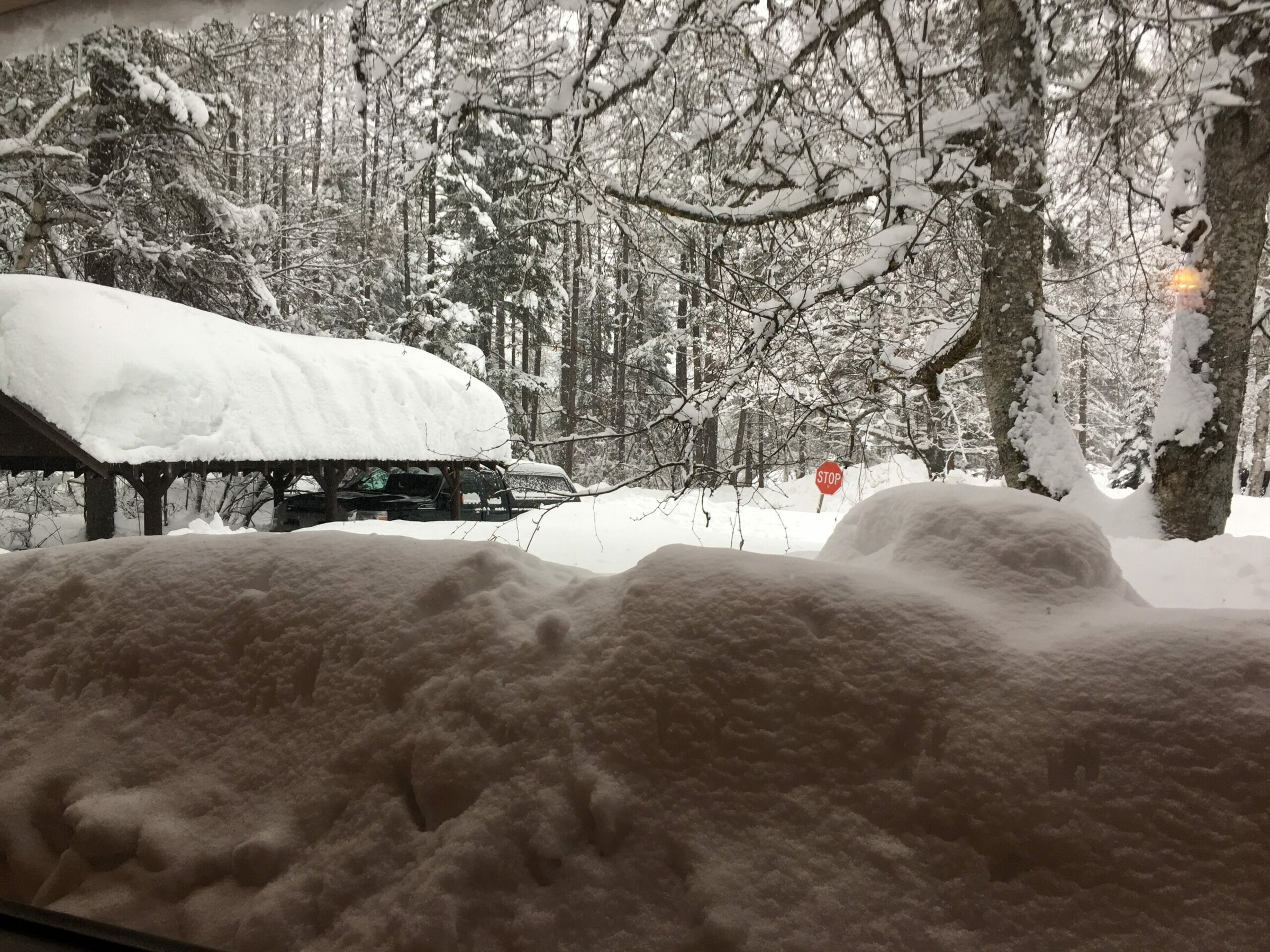 Seasons Through a Cabin Window 3 IMG 1144 1 e1527722631242 scaled