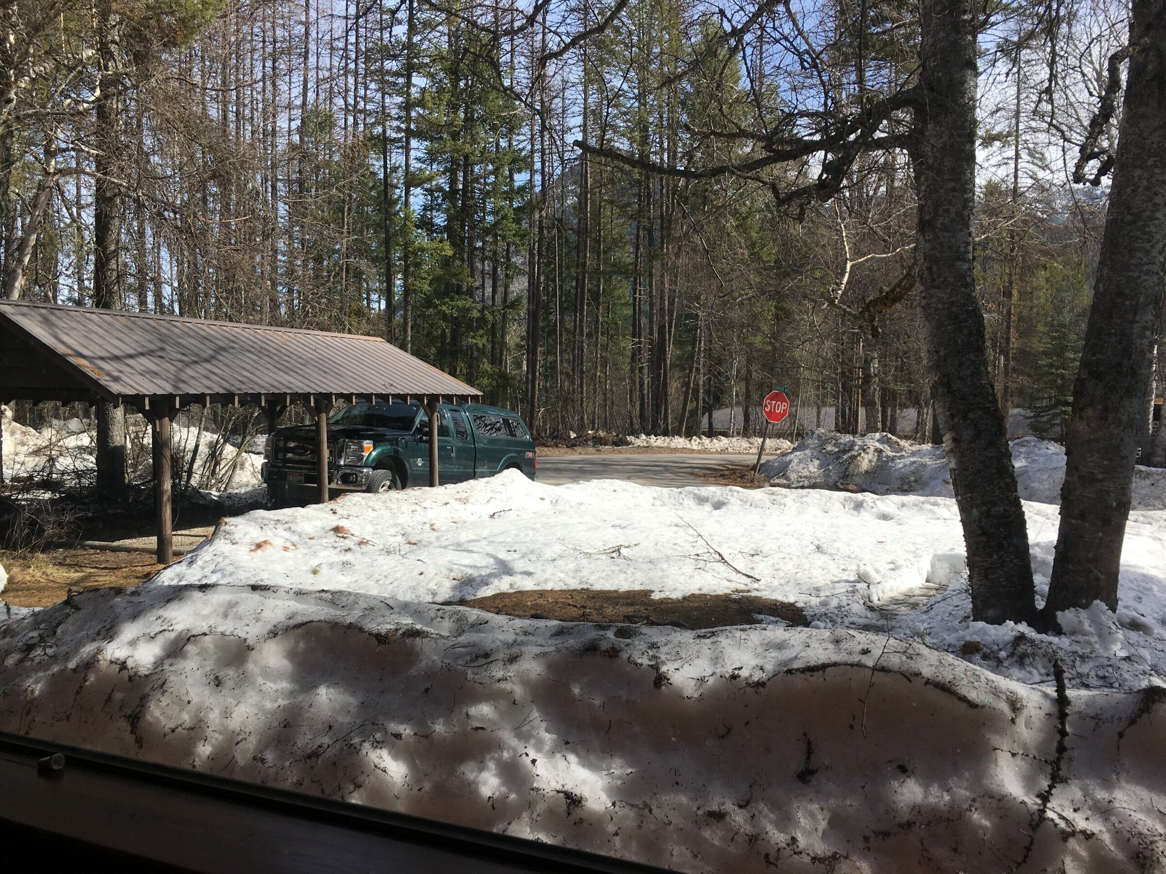 Seasons Through a Cabin Window 6 IMG 1206 e1527722724396 scaled