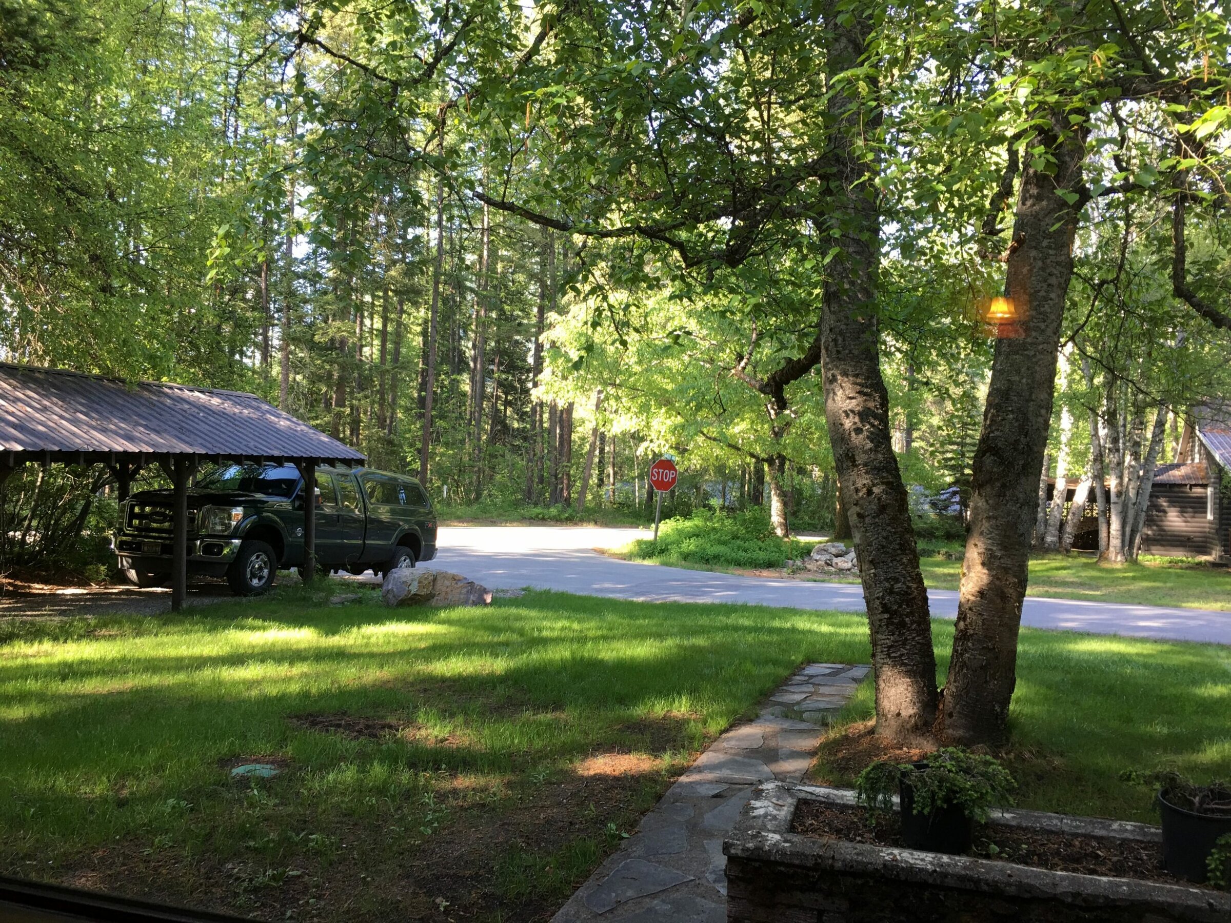 Seasons Through a Cabin Window 7 IMG 1260 e1527722762105 scaled