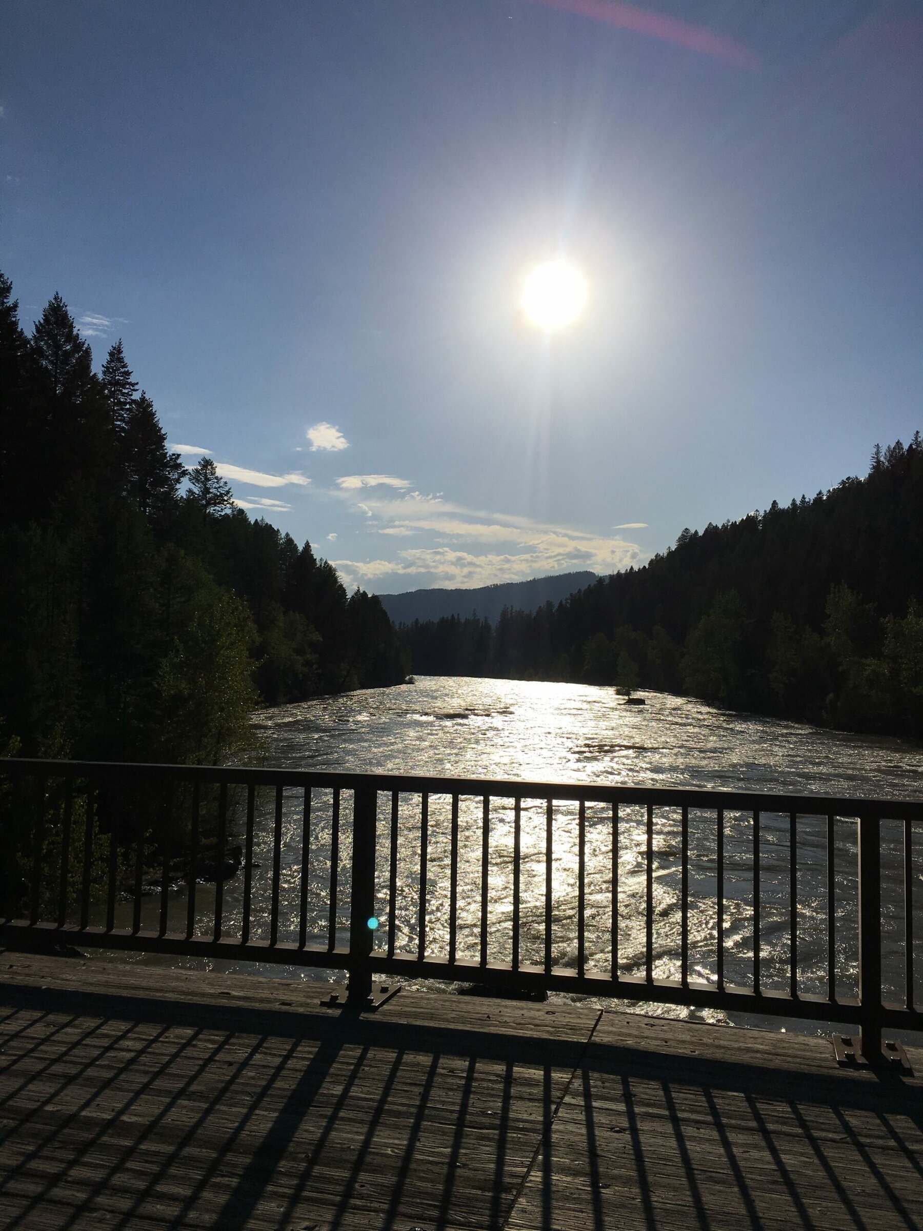 Friday Night Bear and Beers! 2 IMG 5159 e1527431463129 scaled