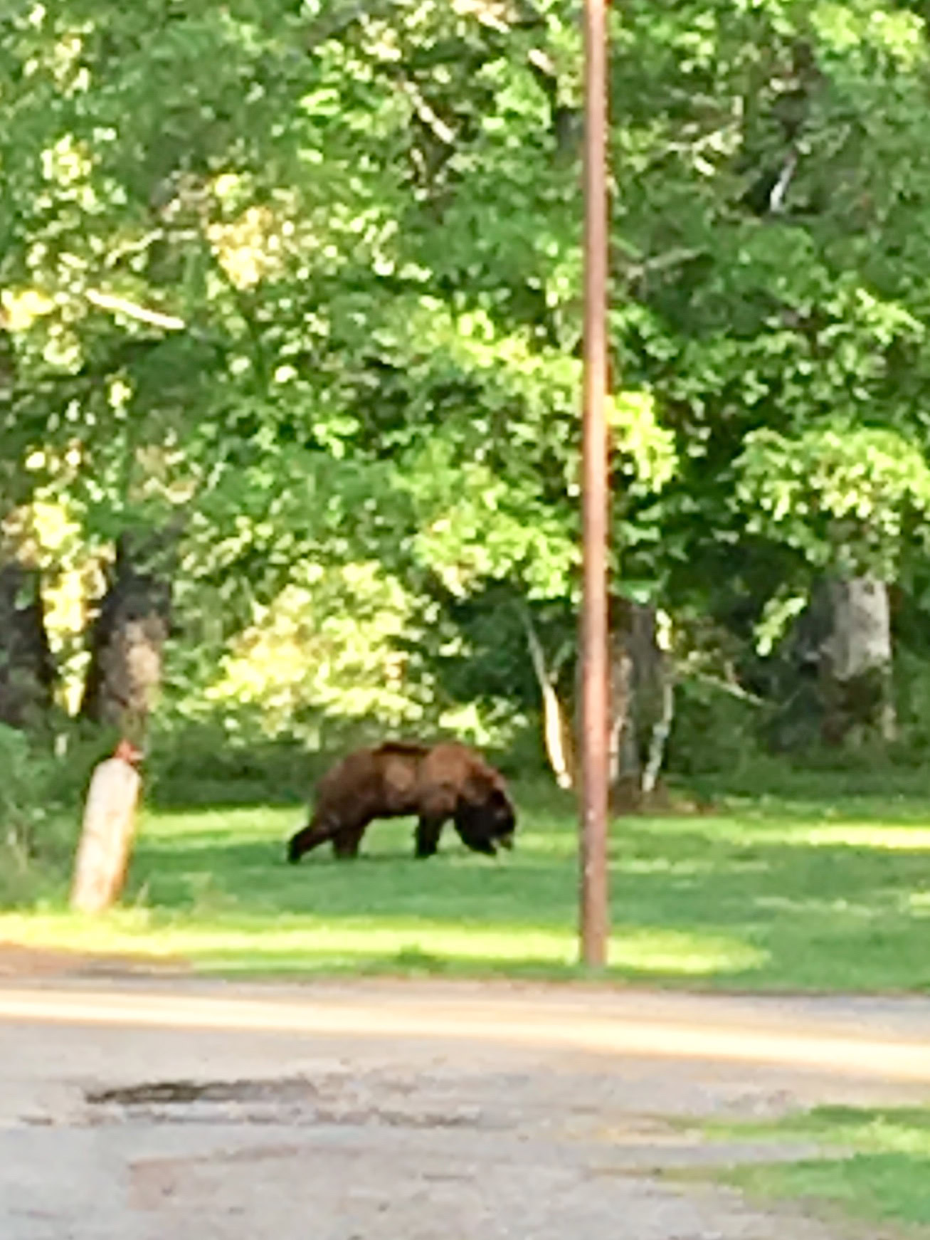 Friday Night Bear and Beers! 1 IMG 5161